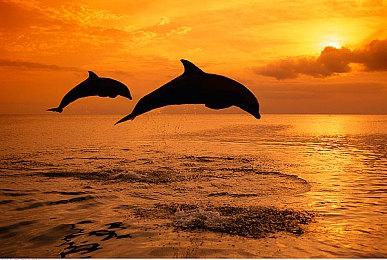 《我和美女有个约会》上架Steam：25种结局 好多美女